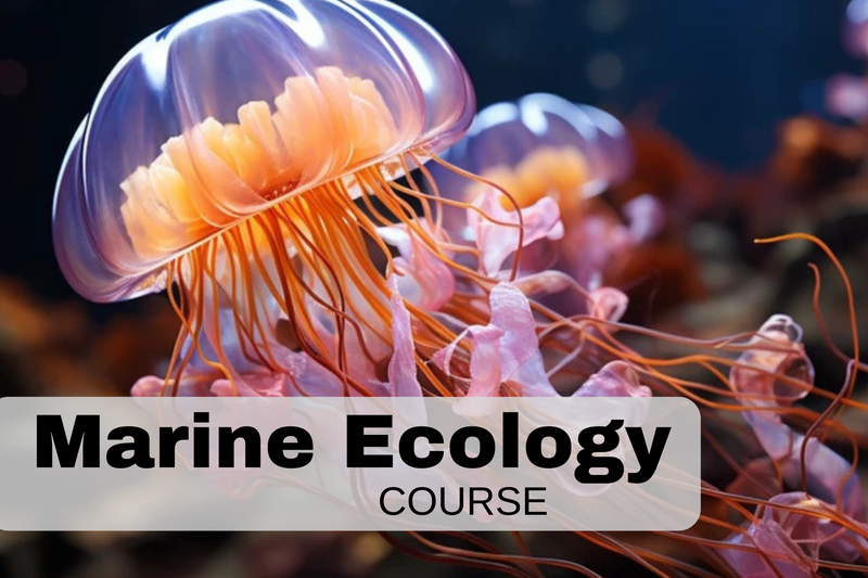 Marine Ecology course - 29th & 30th June 2024