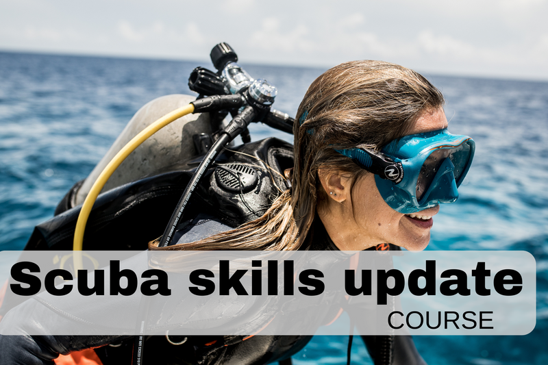 Refresher dive course - Scuba Skills update!
