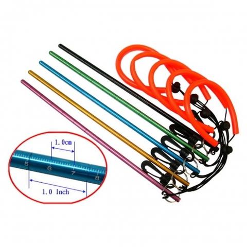 Tickle stick with lanyard