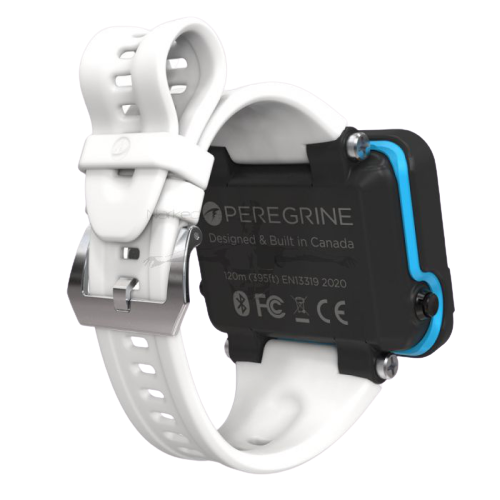 Shearwater Peregrine dive computer