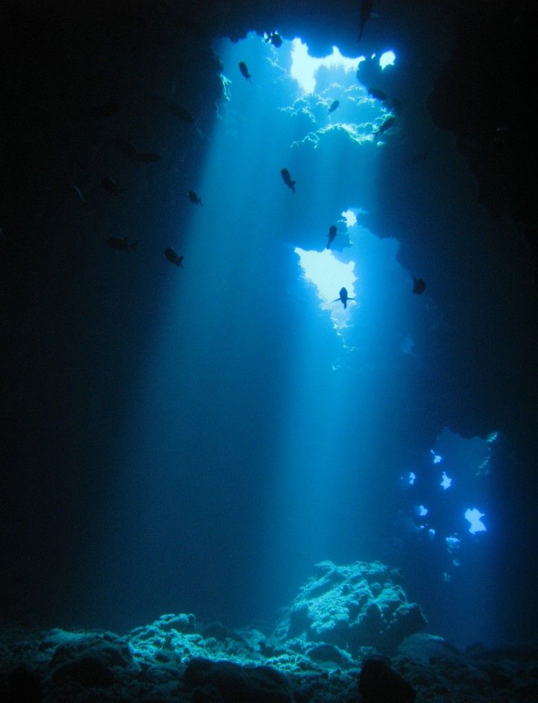 RIDE DIVE Tasmania - 23rd Feb to 2nd Mar 2024