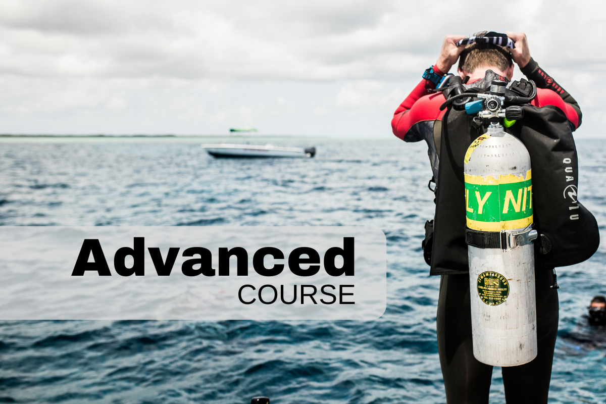 Next Advanced Course Advanced Diver Course - 21st & 22nd February 2026 – Indepth Scuba
