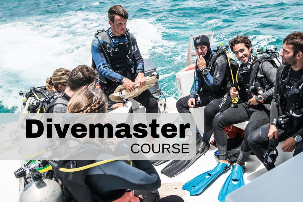 Divemaster course