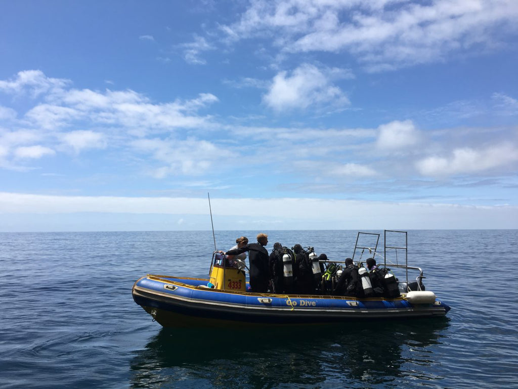 RIDE DIVE Tasmania - 23rd Feb to 2nd Mar 2024