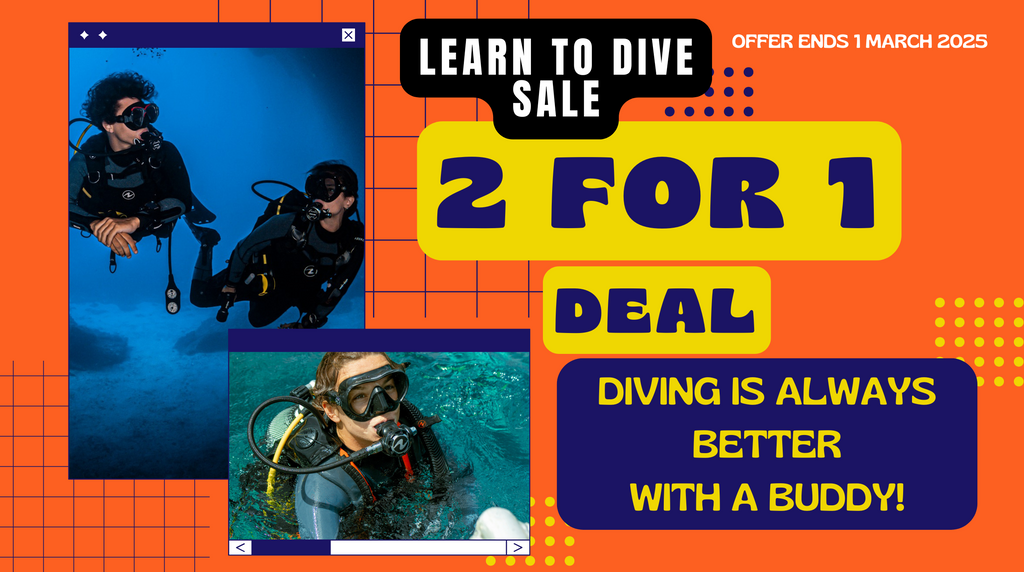 Learn to Dive - 6th April 2025 - Start your adventure today!