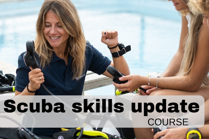 Refresher dive course - Scuba Skills update - 7th November 2026