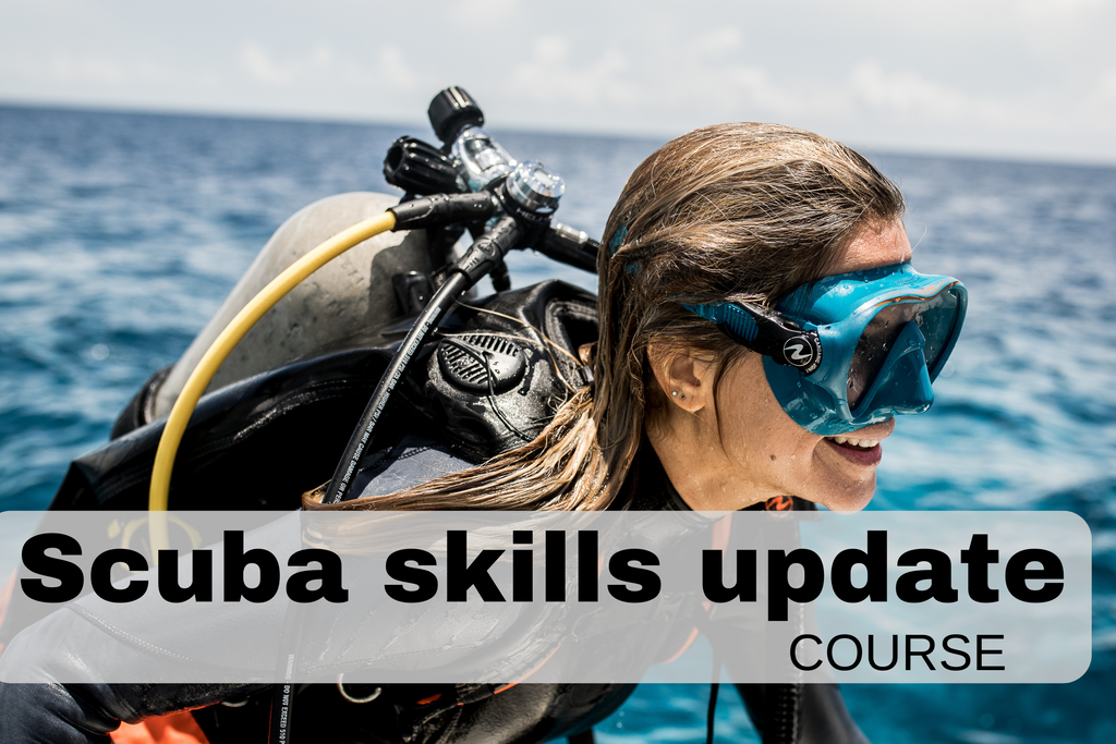 Refresher your scuba course - Scuba Skills update!