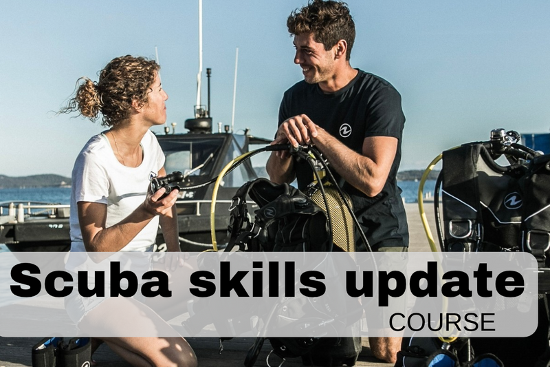 Refresher dive course - Scuba Skills update - PRIVATE - YOU SELECT THE DATE!