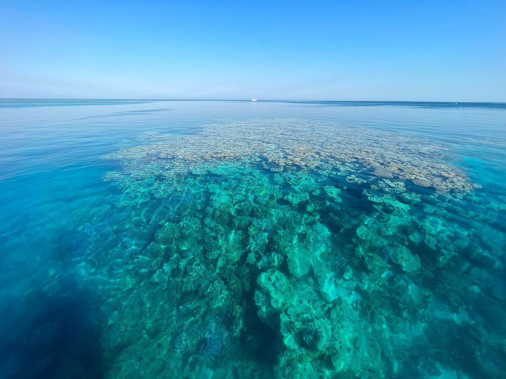 Dive Australia's hidden gem, Rowley Shoals, WA - 11th to 20th October 2027