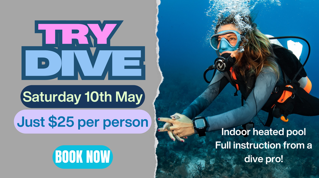 TRY DIVE - Saturday 10th May 2025