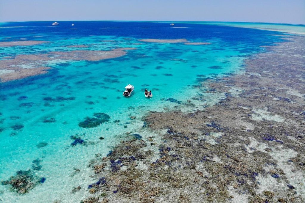 Dive Australia's hidden gem, Rowley Shoals, WA - 11th to 20th October 2027