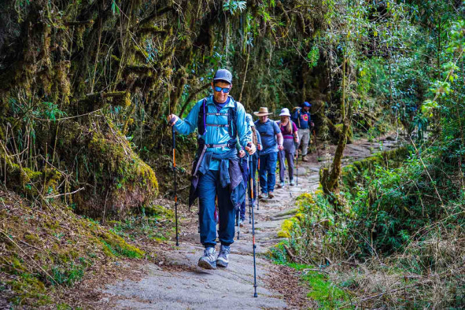 Hikers on a trail in a forested area