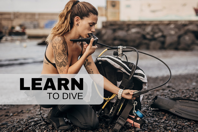 Learn to Dive - 2nd February 2025 - Start your adventure today!
