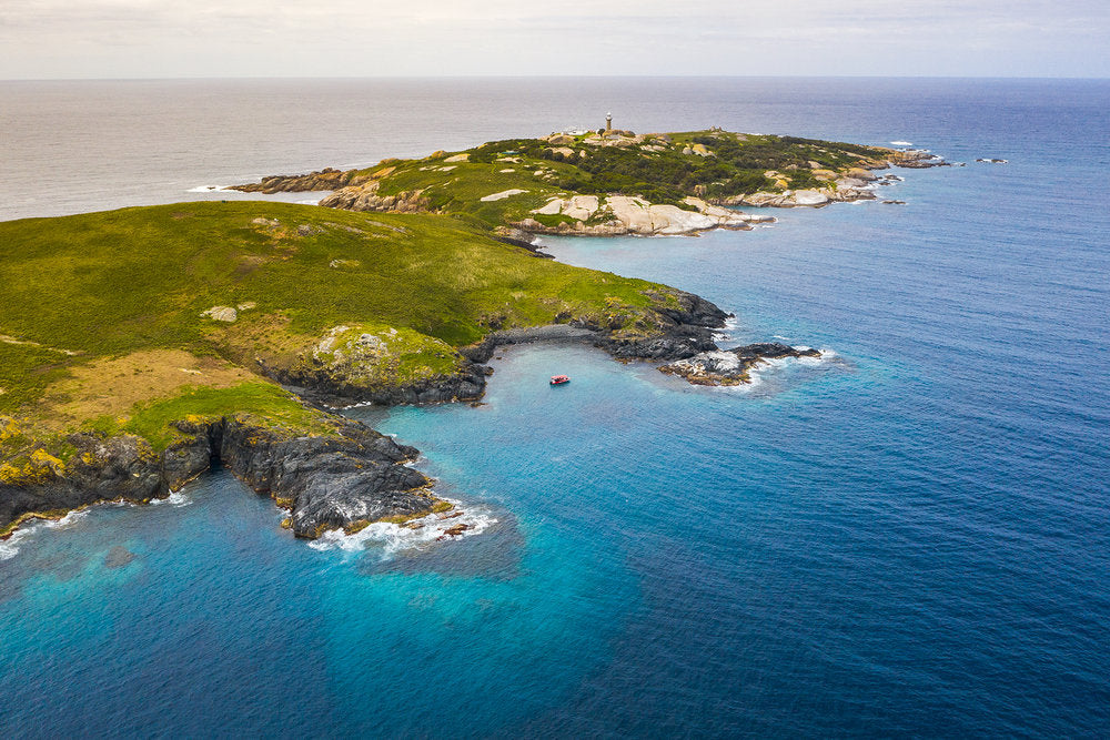 Xmas Seal dive at Montague island - Sunday 15th December 2024