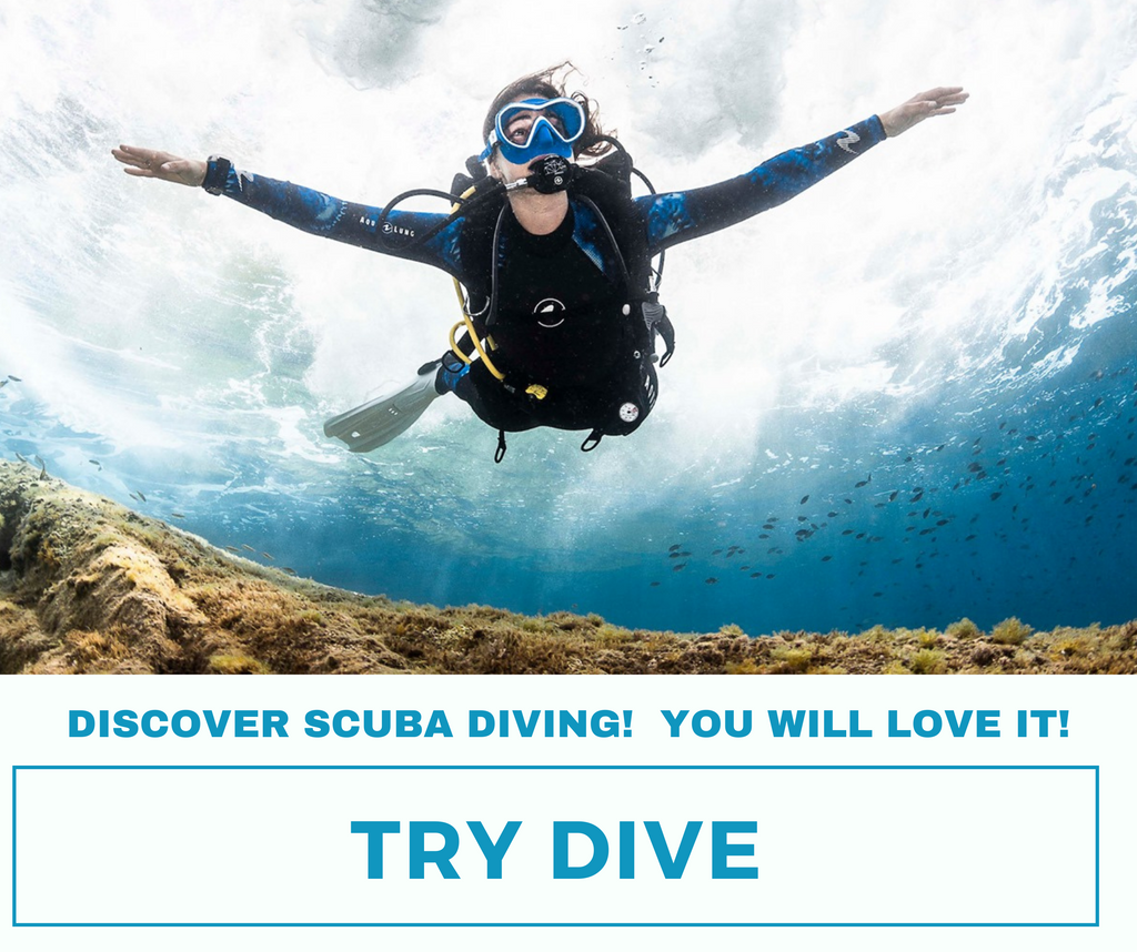TRY DIVE - Discover scuba
