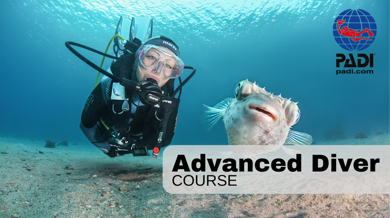 Advanced course - 15th & 16th April 2023