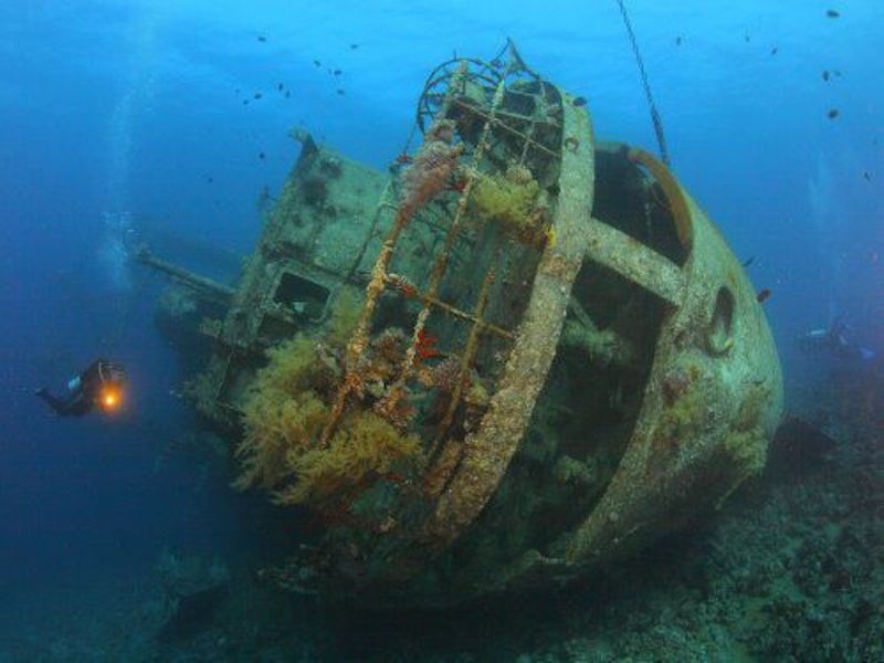 Dive Coron, Philippines - 10th - 19th November 2023